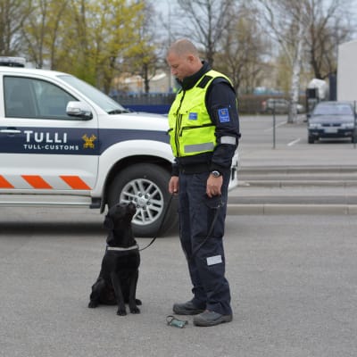 Snushunden Onni och hans förare Matti Koskela.