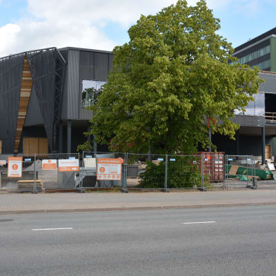 Kuppis bollhall.