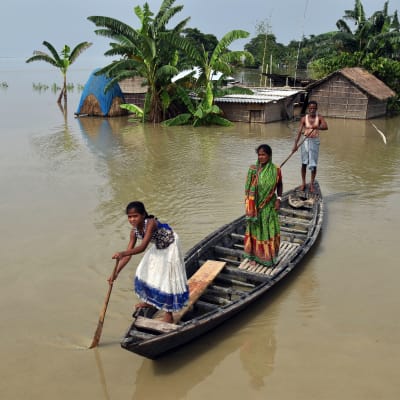 Miljoner människor i Indien, Nepal och Bangladesh har fly undan vattenmassorna när deras hem övervsämmades. Bilden är från delstaten Assam