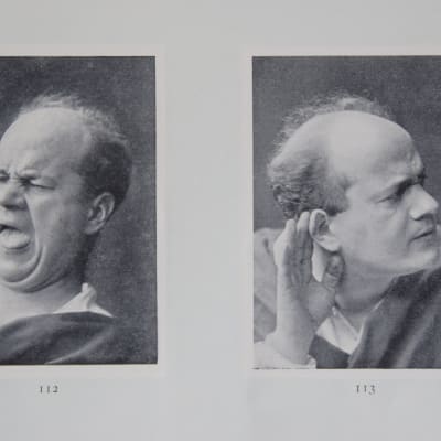 Exempel ur A. Borées Physiognomische Studien (1899)