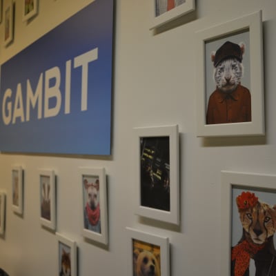 I företaget Gambits aula hänger en vägg med djurporträtt.