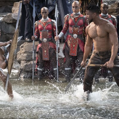 T'Challa (Chadwick Boseman) och Erik Killmonger (Michael B. Jordan) slåss mot varandra i ett vattenfall.