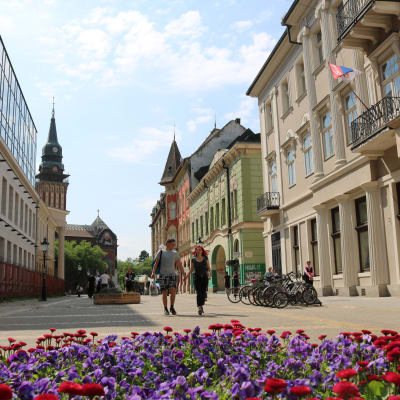 I staden Subotica i norra Serbien hoppas många på ett EU-medlemskap
