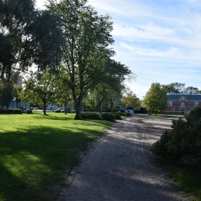 stallörsparken med träd och gräs.