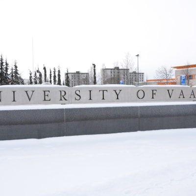 Vasa universitet