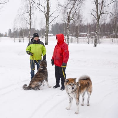 Kurt Aspö och Karin Nynäs-Aspö med hundarna Sisu och Raita i ett snöigt landskap
