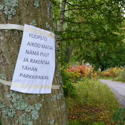 Juho Pylvänäinen protesterar mot universitetens parkeringsplaner