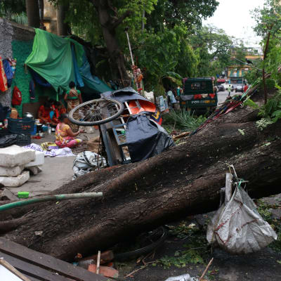 Förödelse på en gata i Calcutta efter stormen Amphangs framfart.