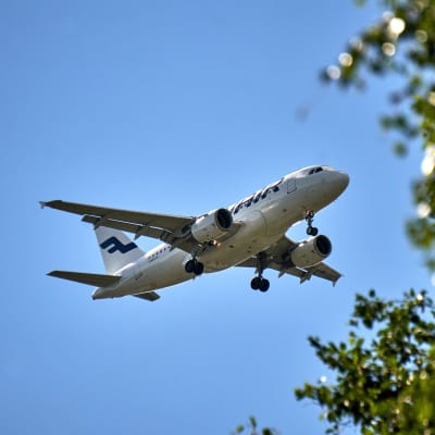 Finnairflyg mot blå himmel, i förgrunden björklöv.