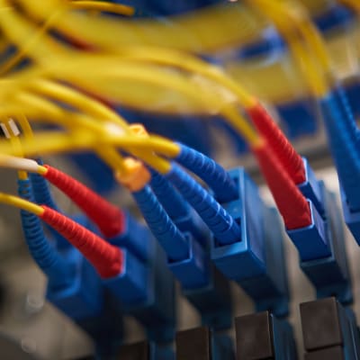 Tietokoneita ja datakaapeleita serverisalissa.