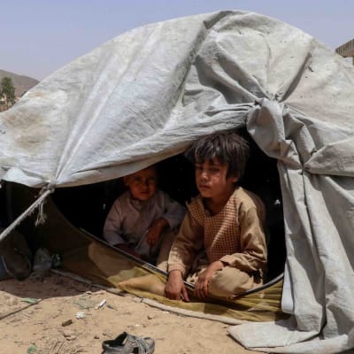 Familjer som flytt från ställen där det pågår strider mellan regeringsstyrkor och talibaner bor i temporära härbärgen i Kandahar.  4.8.2021 