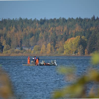 Fiskare är ute på sjön. Står på en flotte och en liten motorbåt är bredvid.