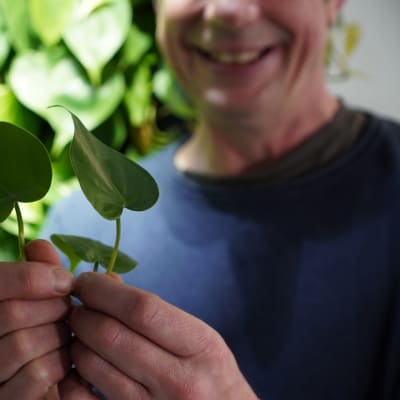 En planta och två händer.