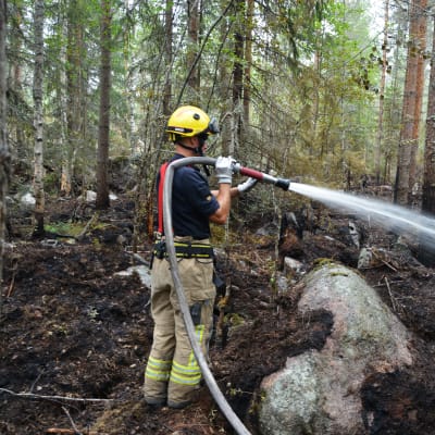 Palomies sammuttaa vesisuihkulla metsää.