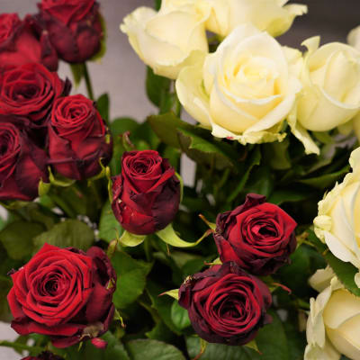 Röda och vita rosor står i en bukett i en blomsteraffär.