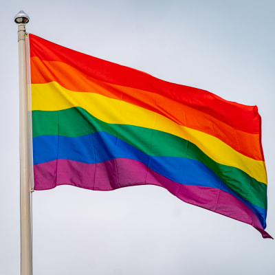 Regnbågsflagga vajar i vinden.