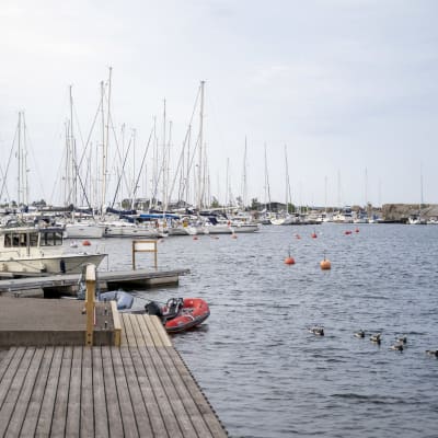 Östra hamnen i Hangö. Segelbåtar, motorbåtar och några kanadagäss plus en brygga.