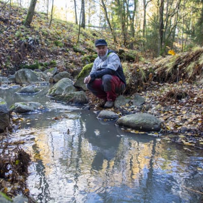 En man i friluftskläder sitter på huk vid en liten bäck som rinner i en skogsdunge.