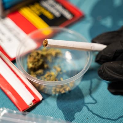 Cannabis i rullad cigarrett. 