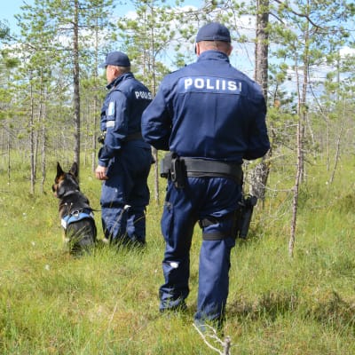 Två poliser och en polishund på ett kärr.