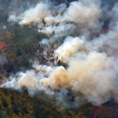 Skogsbrand på Cuba.