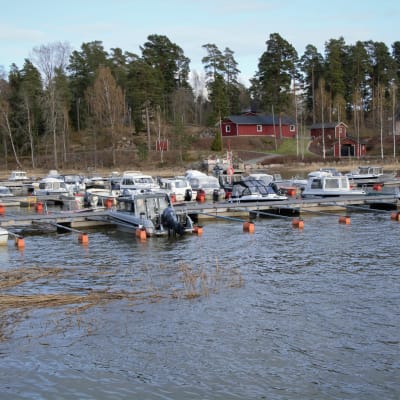 Motorbåtar förankrade vid en båthamn med flera bryggor. 
