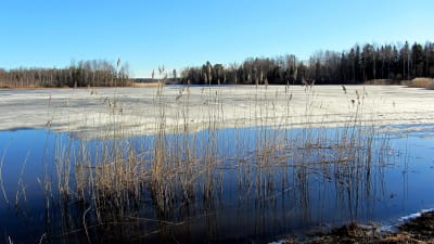 Infjärden i Vasa