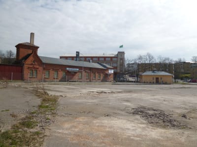 Sprucken asfaltplan med byggnader i bakgrunden.