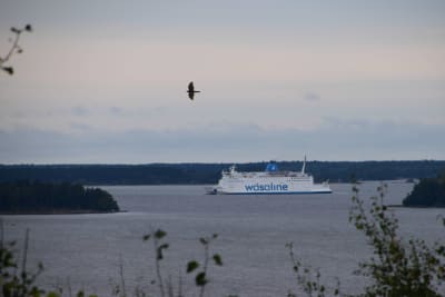 En bild tagen från toppen av storberget i gerby. Man ser havet där wasalinefärjan åker.