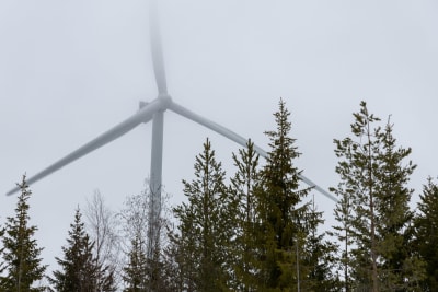 Tuulimylly Simon Sarvisuossa valmistumaisillaan olevassa tuulipuistossa maaliskuussa 2022