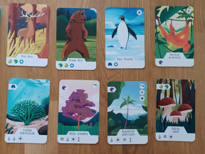Spelkort som visar växter och djur ur kortspelet Ecosferia