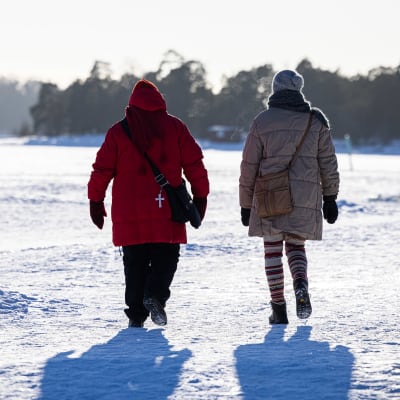 Ystävykset kävelyllä meren jäällä.
