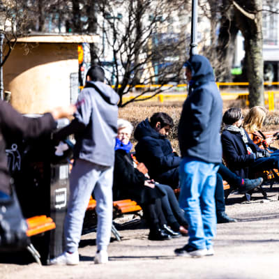Människor sitter i Esplanadparken en solig dag.