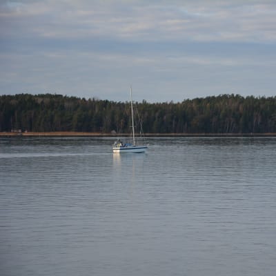 Segelbåt på hösten