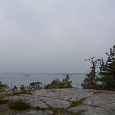 Falkofjärden i dimma.