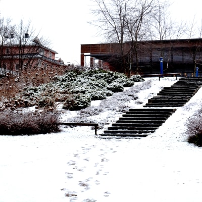Vintrig vy över Borgå stadsbibliotek