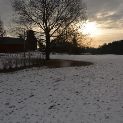 Vintrig åker i Ingå