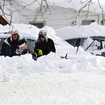Folk röjer snö från sina bilar i Buffalo.