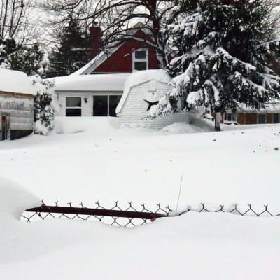 Ett staket sticker fram ur snödrivan.