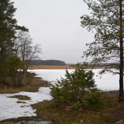 Långvasstranden i Kopparnäs Ingå.