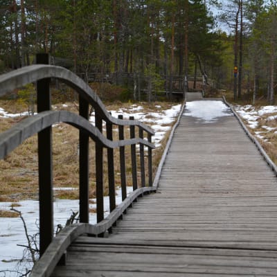 kurjenrahka nationalpark, savojärvi rundslinga