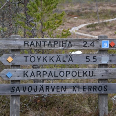 kurjenrahka nationalpark, savojärvi rundslinga