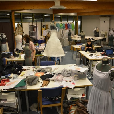 Modlinjen vid Västra Nylands folkhögskola i Karis har 12 studeranden hösten 2014 och våren 2015.