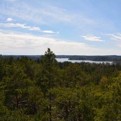 vaarniemi naturskyddsområde, utsikt mot Pargas