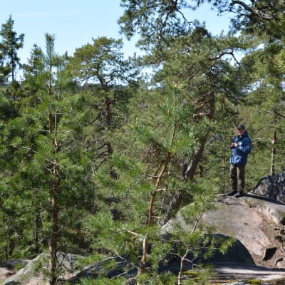 Patrik Berghäll i Vaarniemi naturskyddsområde