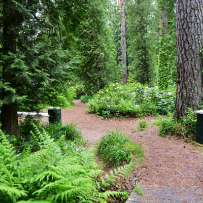 Arboretum Mustila i Elimä.