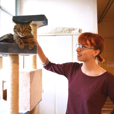 Matilda Ekholm och en katt i Tolkis katthus.