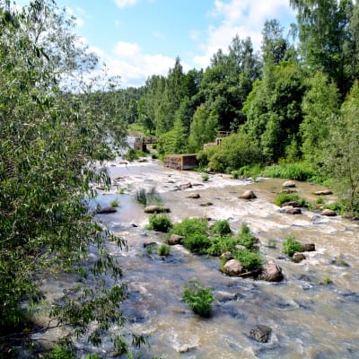 Forsby å