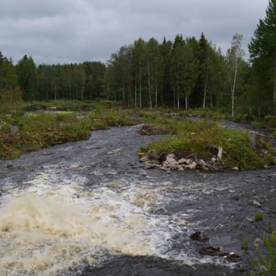 Björkfors i Esse å