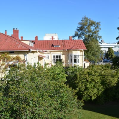 Carpelanska tomten är mycket lummig